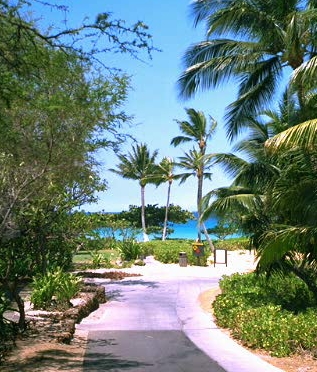 The road to a beach photo