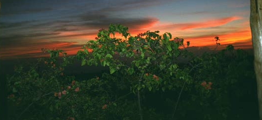 A typical sunset